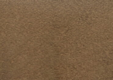 C206 BEECH SUPERMATE