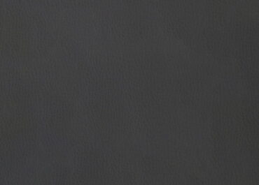 ANTRACITE 1008016
