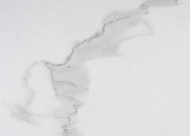 L0259 - PURICELLI 6019