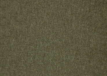 231 OLIVE