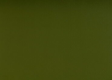 107-5001 OLIVE